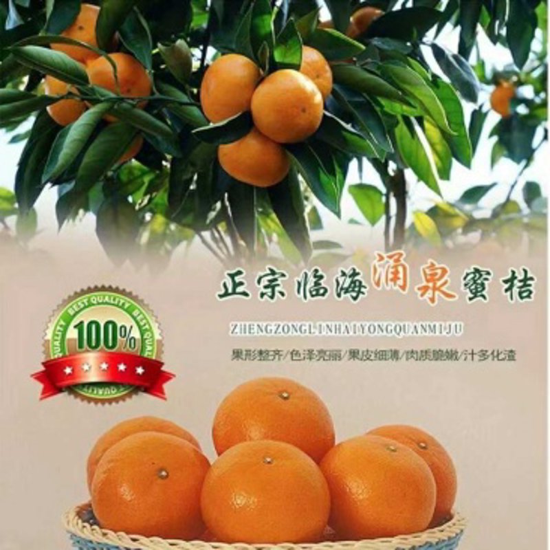 如何选择性价比高的水果批发供应商？这几点你一定要知道！