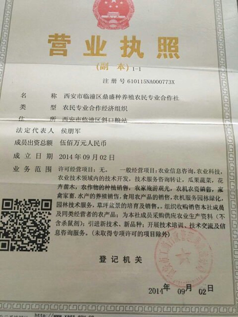 临海水果批发，怎样选择优质果品？