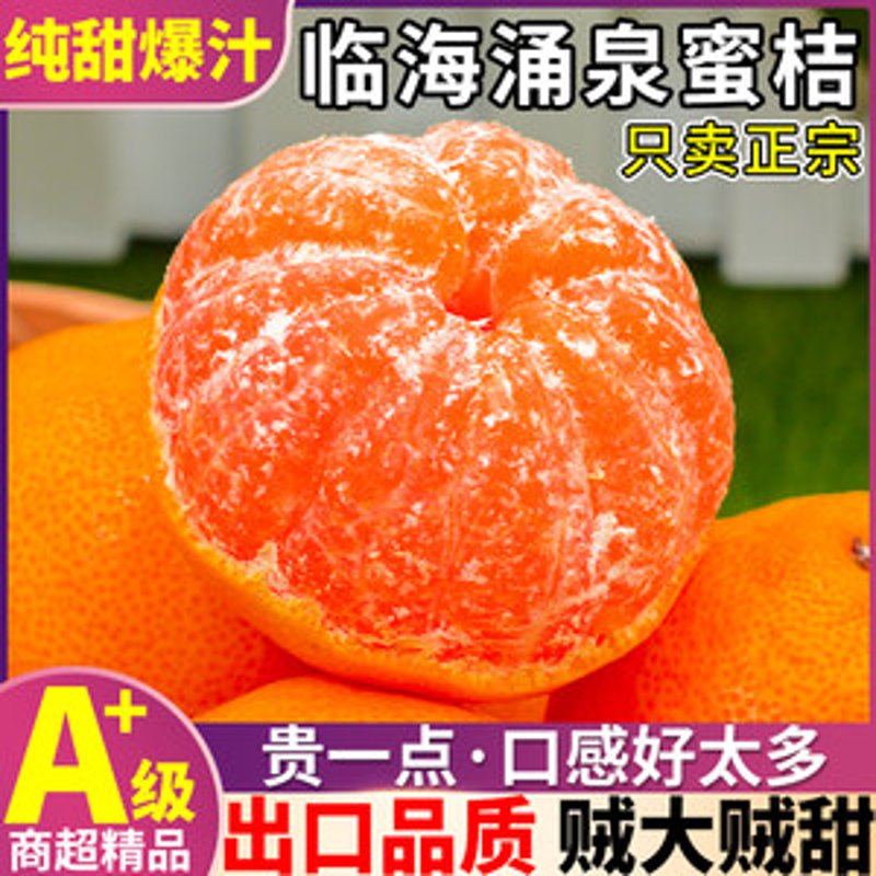 临海蔬菜批发市场的选择：工具推荐类